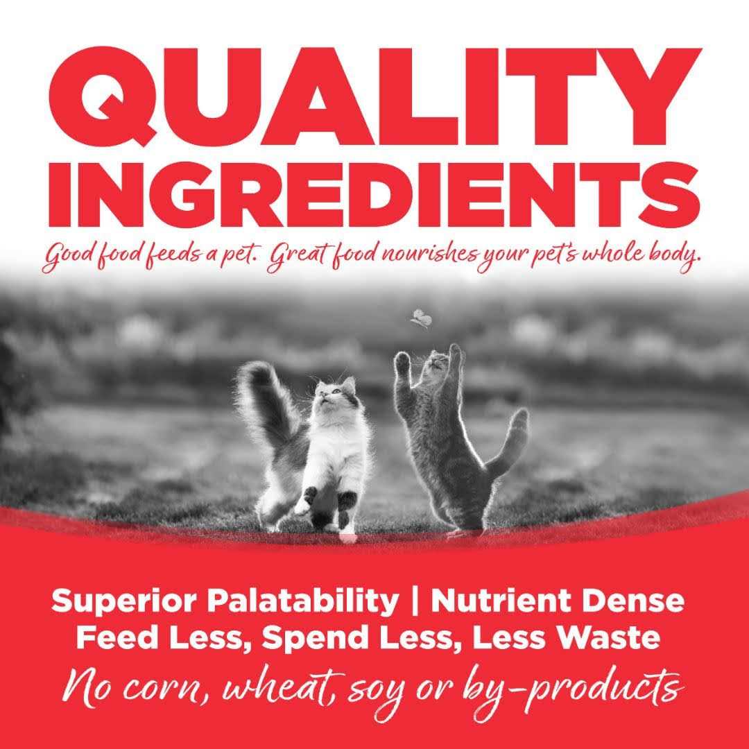 Grain Free Cat Food I480