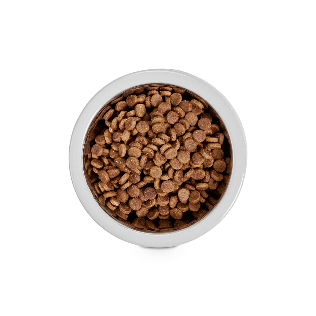 Stainless-Steel Grey Dog Bowl S392686