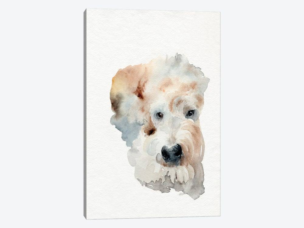 Scruffy Puppy I Print on Canvas Art A245323