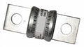 110 Amp Slow Blow Fuse V641
