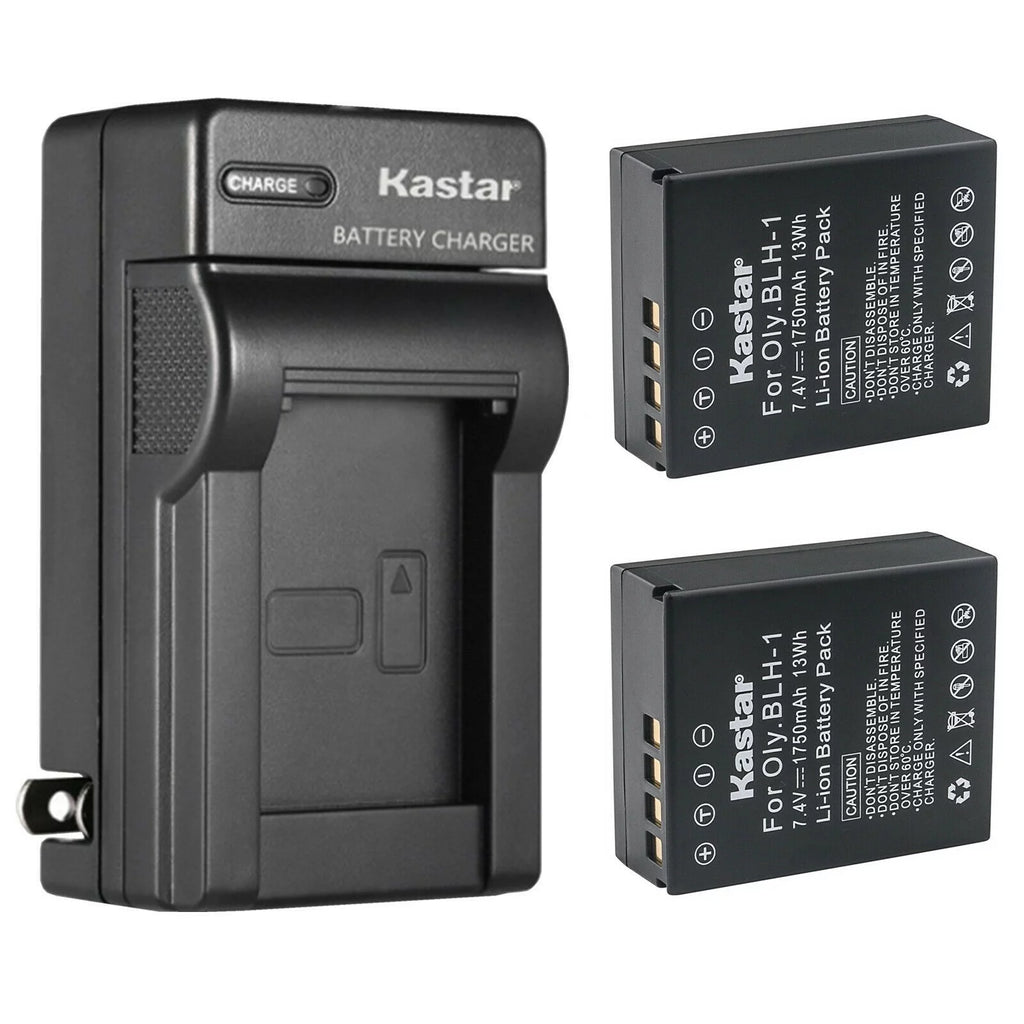 2-Pack Battery and AC Wall Charger J1376