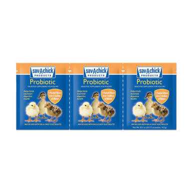 Probiotic Supplement P984442