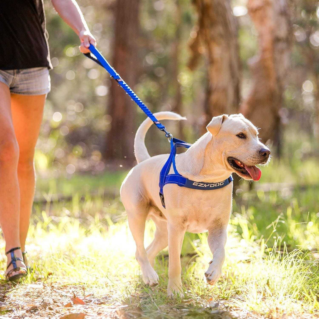 Zero Shock Dog Leash D831858
