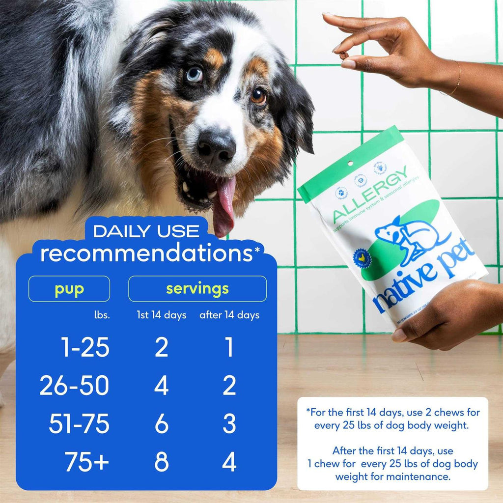 Allergy Chews for Dogs N762577