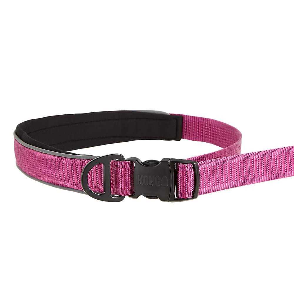 Green 6-ft Hands-Free Dog Leash C936199