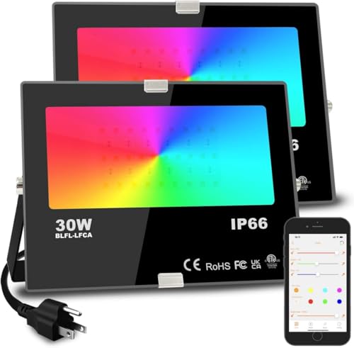 30W RGBW Color Changing LED Flood Light 2 Pack A382