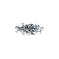 Roofing Nails 1-3/4 inch Electro Galvanized 50 Pound R8064