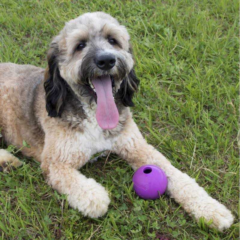 Extremely Durable Natural Rubber Dog Fetch Balls 4 inch Q276039