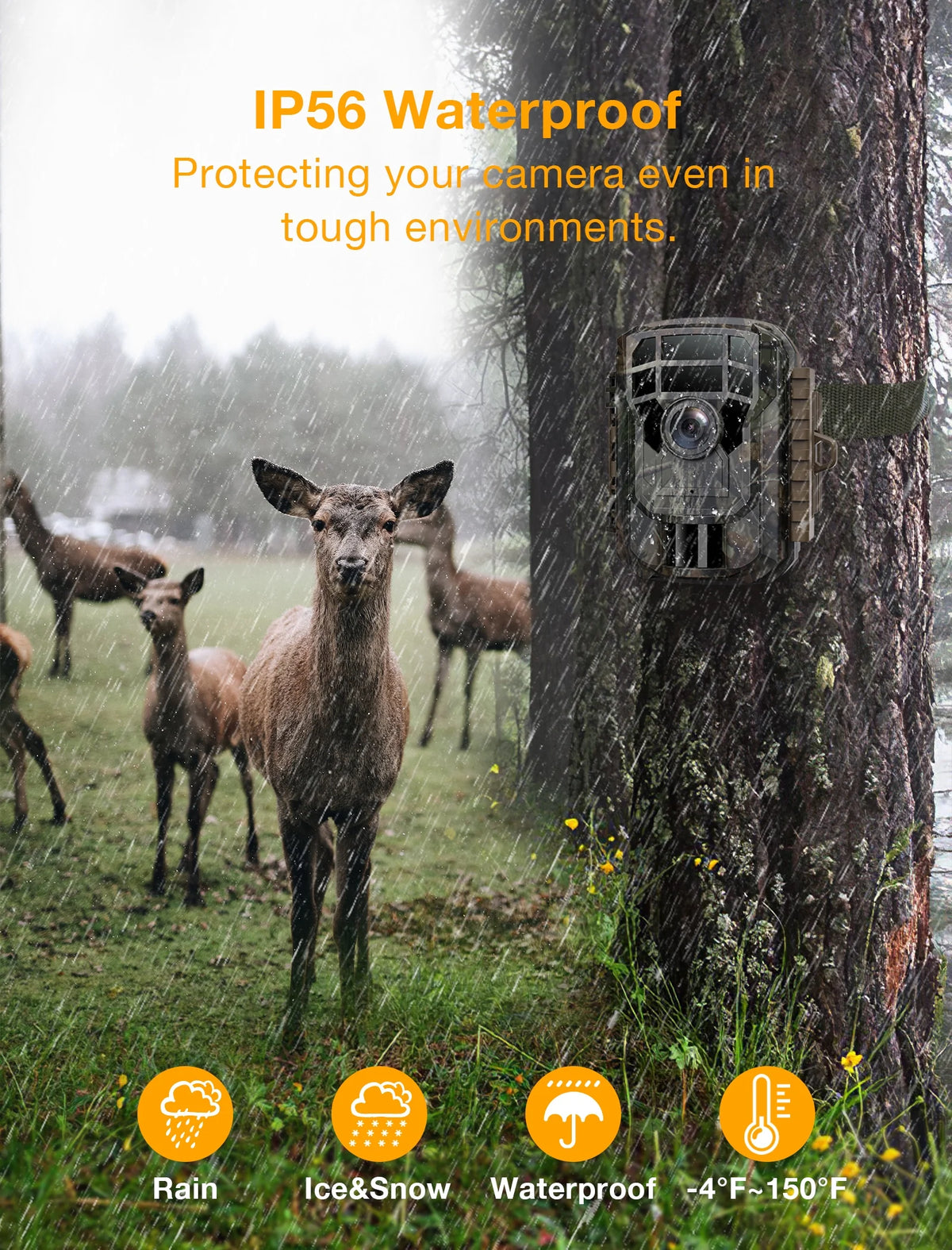2 Pack 36MP 2K Waterproof Trail Camera with Night Vision T998702
