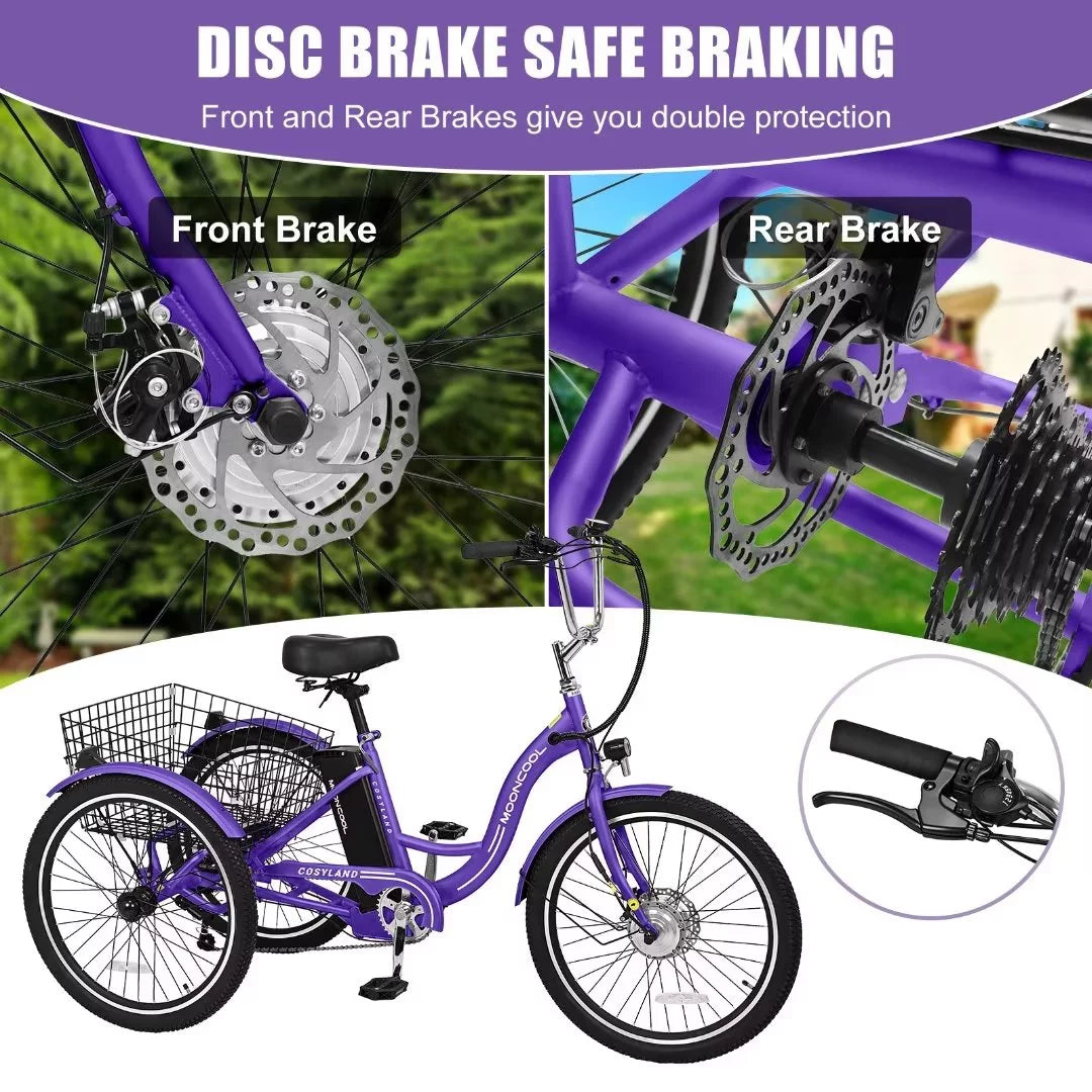 3 Wheel 500W Electric Trike G5531