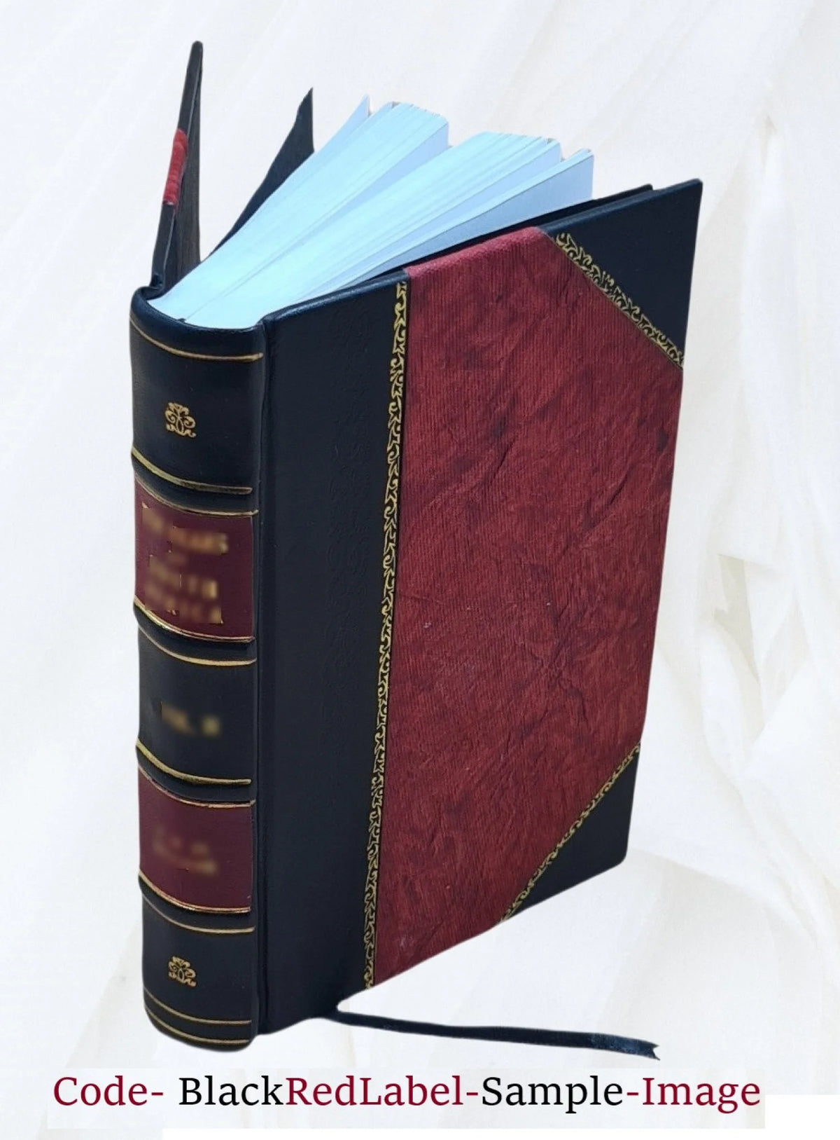 City charter, chapter 283, acts of 1897, ordinances of 1898, standing regulations, statutes relating to the city. Volume 1917 1898 V21105