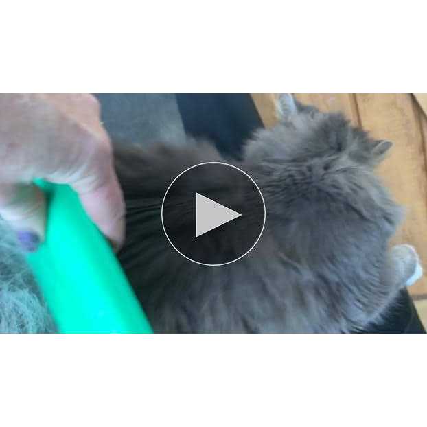 Deshedding Grooming Tool for Dogs Cats & Horses O71542