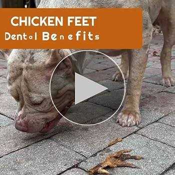 Chicken Feet Dog Treats L627413