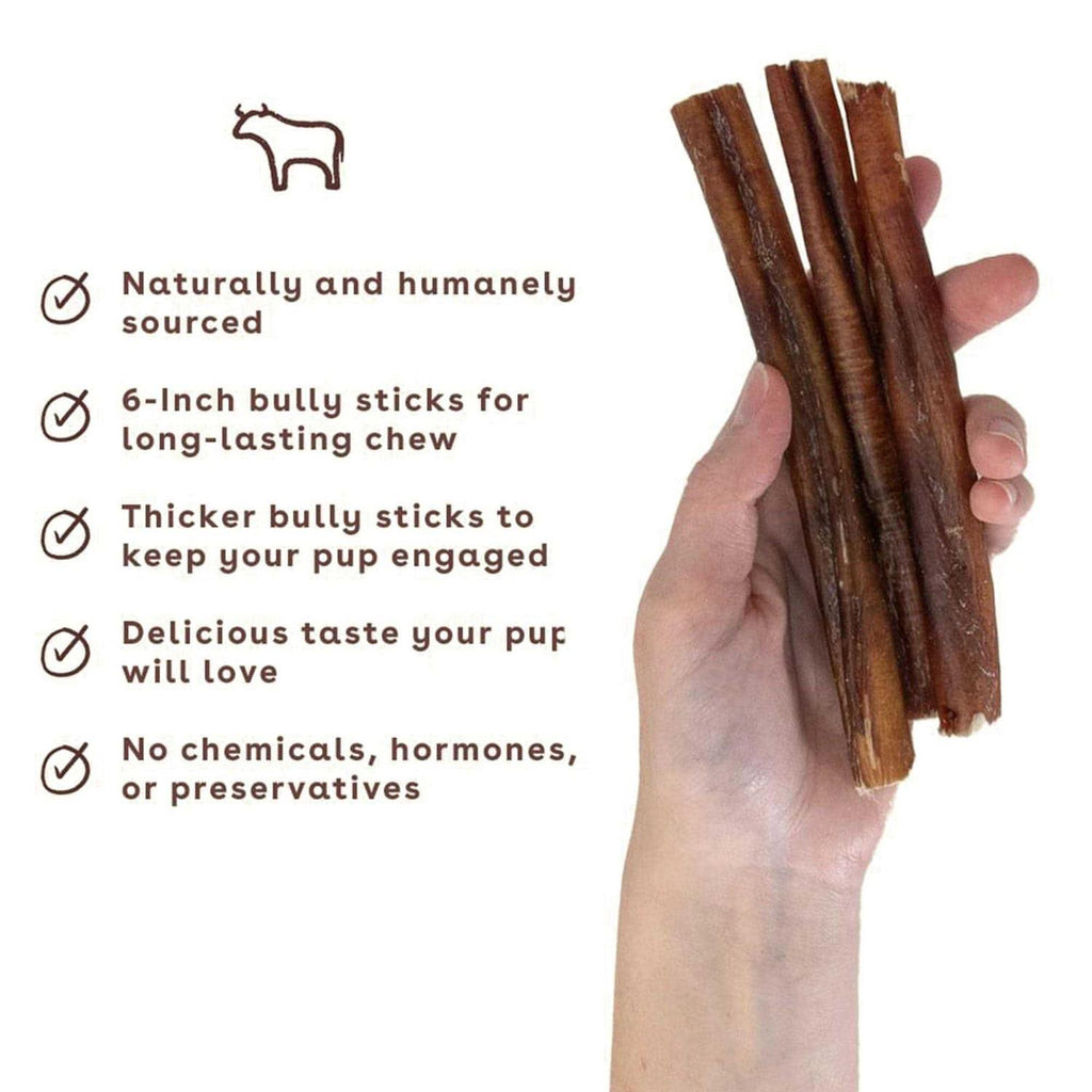 Bully Stick Dog Chew X4170