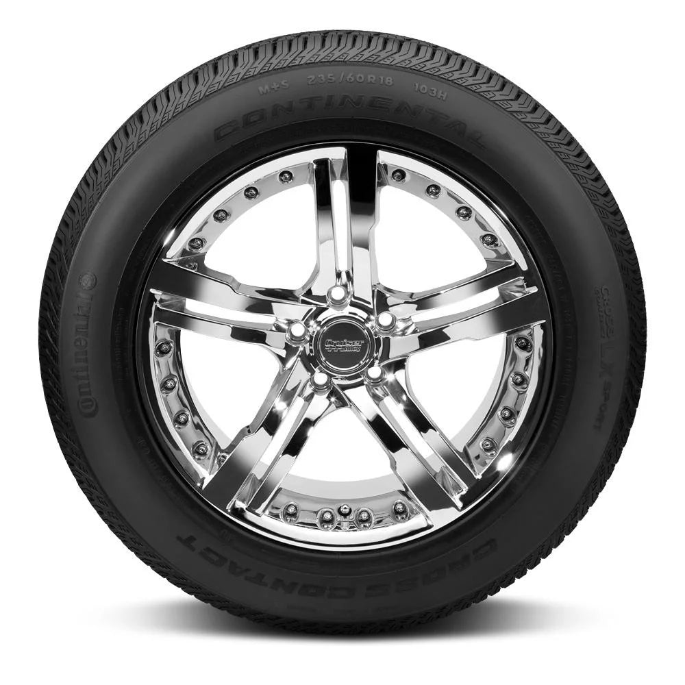 255/50R19XL 107H All Season Tire V181669